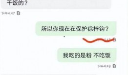 吃瓜炸裂聊天记录视频,揭秘视频背后的惊人真相