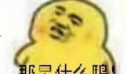 吃瓜的表情包,揭秘网络社交中的“围观”文化